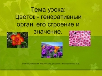 презентация и конспект урока в 6 классе на тему:Цветок - генеративный орган, его строение и значение