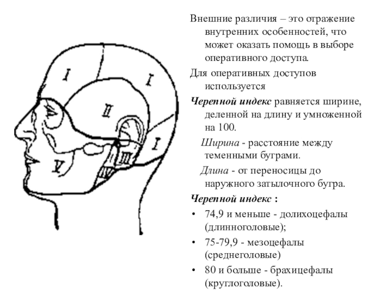 Для чего применяется схема черепно мозговой топографии