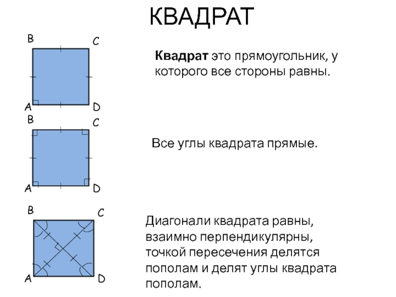 2 диагонали квадрата взаимно перпендикулярны