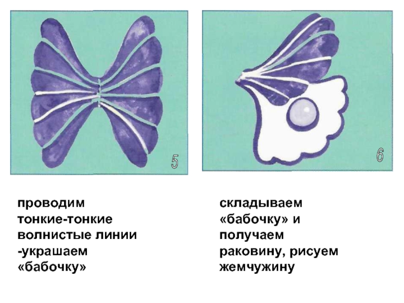56проводим тонкие-тонкие волнистые линии -украшаем «бабочку» складываем «бабочку» и получаем раковину, рисуем жемчужину