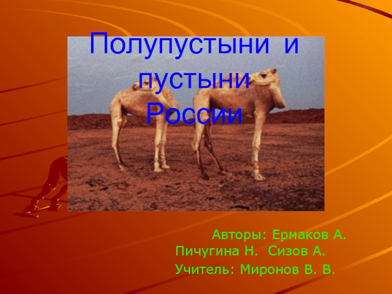 Презентация Полупустыни и пустыни России