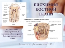 БИОХИМИЯ КОСТНОЙ ТКАНИ
Ассистент Демьяненко Е.В.
ГЗ Луганский государственный