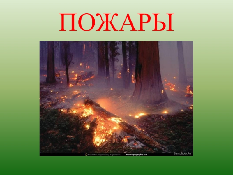 Пожар презентация 2 класс окружающий мир плешаков