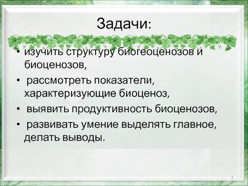 Презентация по биологии 9 класс биогеоценозы и биоценозы