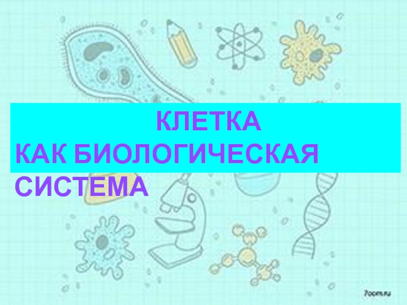 Клетка
как биологическая система