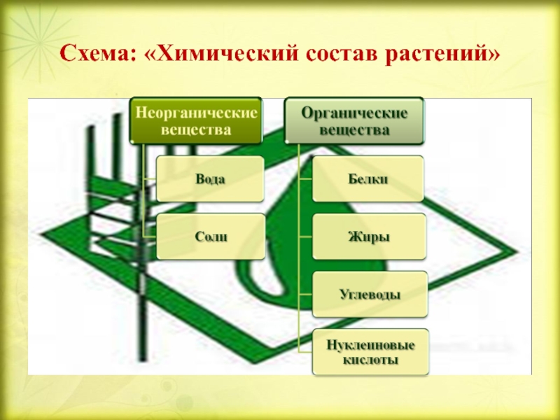 Вещества органические и неорганические схема