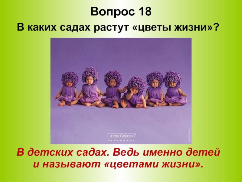 В детском садике растут. Почему детей называют цветами жизни?. В нашем садике растут. Почему на голове не растут цветочки. Заставка к песенке -отчего на голове не растут цветочки-.