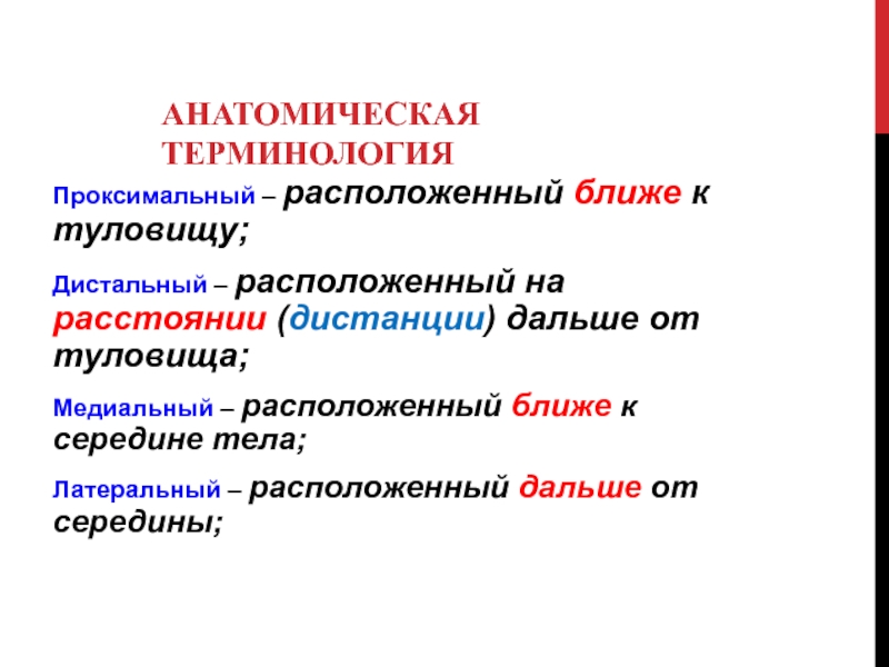 Русскую анатомическую терминологию разработал