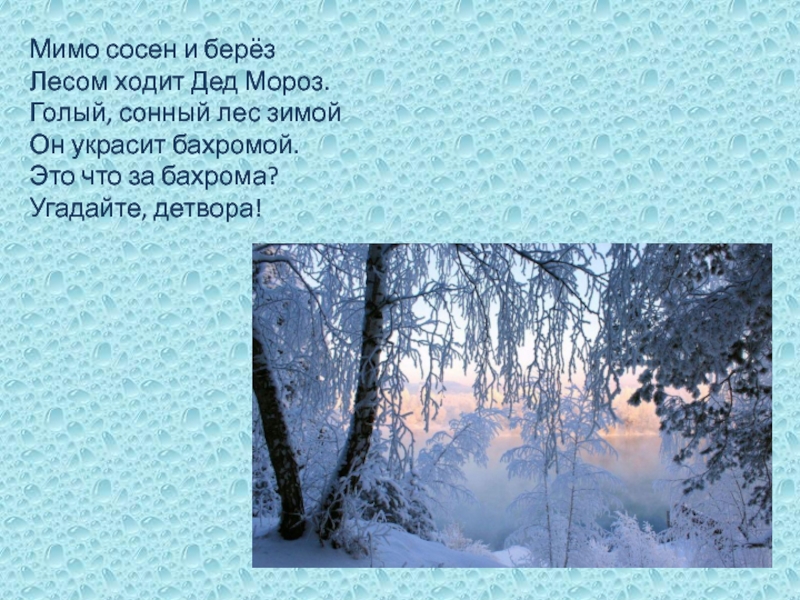 Шел по лесу дед. Мимо сосен и берез лесом ходит дед. Мимо сосен и берез шел по лесу дед Мороз. Стих шел по лесу. Стихотворение шел по лесу дед Мороз.