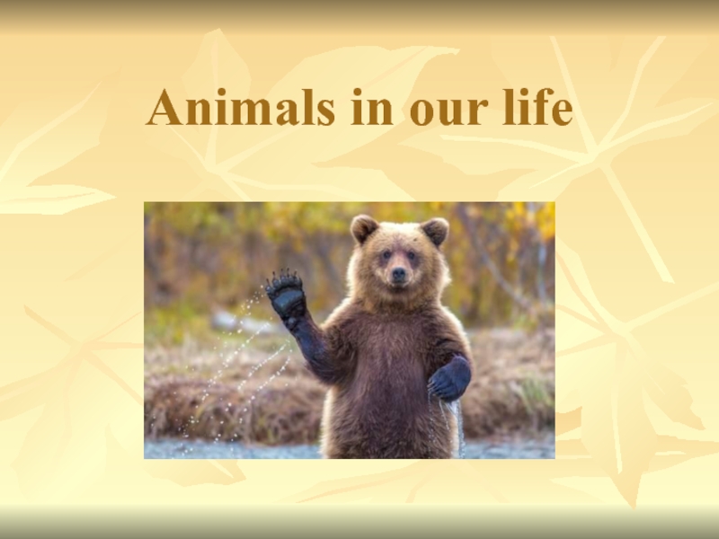 Animals in Оur Life 6 класс