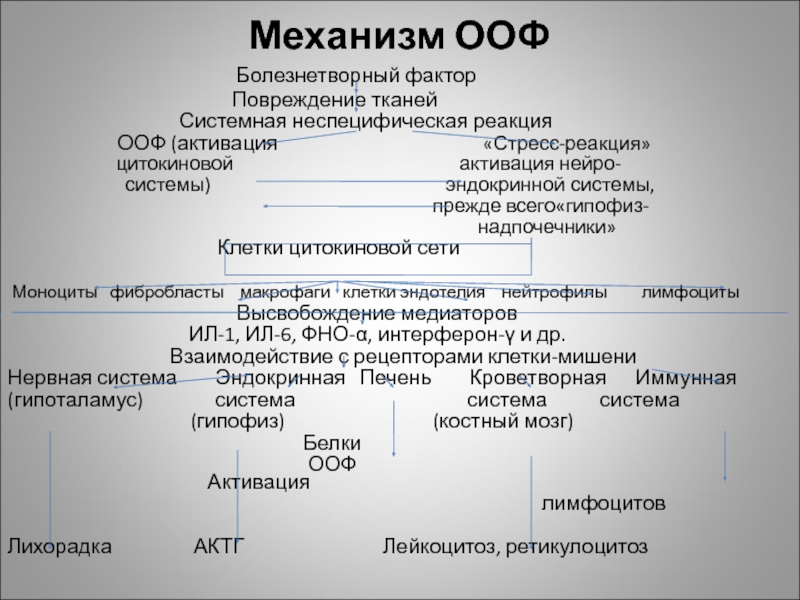 Ответ острой. Медиаторы ООФ. Патогенез ООФ. Проявления ООФ. Ответ острой фазы эндокринная система.