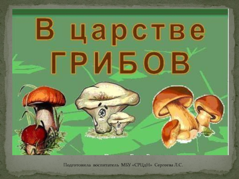 В царстве грибов для дошкольников