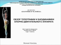 ОБЗОР ТОПОГРАФИИ И БИОДИНАМИКИ ОПОРНО-ДВИГАТЕЛЬНОГО АППАРАТА
ФЕДЕРАЛЬНОЕ