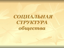 Социальная структура общества 10 класс