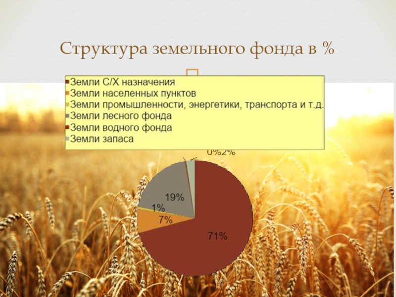 Земельные фонды страны