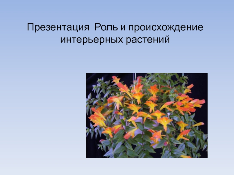 Презентация Презентация Роль и происхождение интерьерных растений