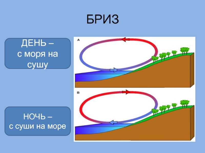 Схема образования ночного бриза