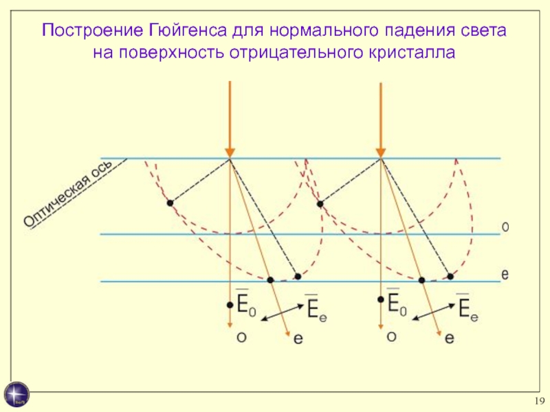 Прохождение света через глаз последовательность