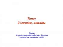 Тема: Углеводы, липиды