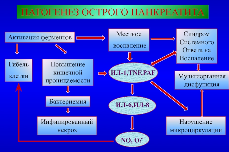 Острый панкреатит лекция презентация