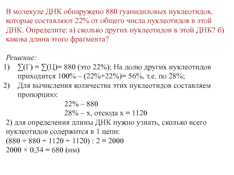 Число нуклеотидов в молекуле днк. Количество нуклеотидов в молекуле ДНК. В молекуле ДНК обнаружено 880. Сколько пар нуклеотидов в молекуле ДНК.