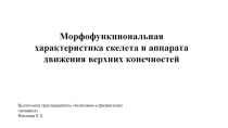 Морфофункциональная характеристика скелета и аппарата движения верхних