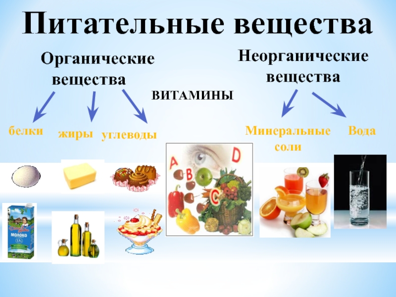 Белки жиры углеводы презентация по химии