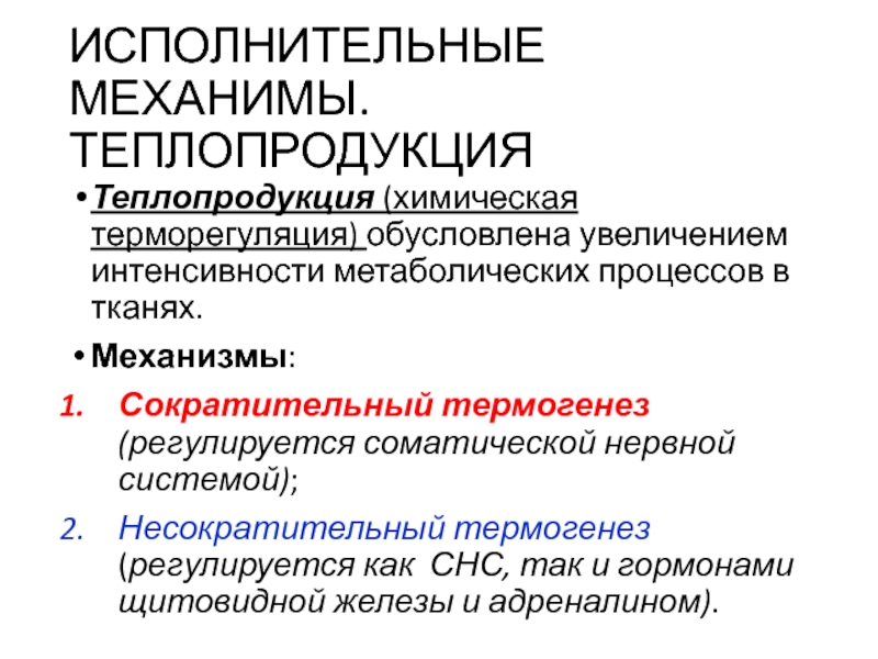 Сократительный термогенез. Химическая терморегуляция. Сократительный термогенез и несократительный термогенез на человеке. Метаболический термогенез.