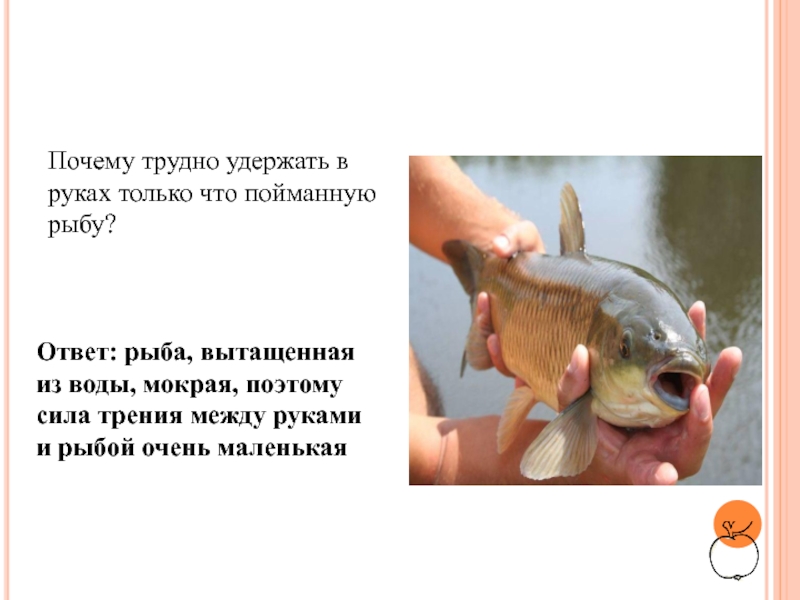 Почему трудно удержать в руках. Почему рыбу сложно удержать в руках. Почему трудно удержать в руках живую рыбу.