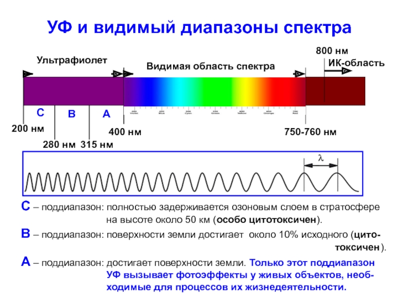 Видимый участок спектра. Диапазон ИК спектра. УФ диапазон спектра. Диапазон спектра ультрафиолетового излучения. Схема спектра световых излучений.