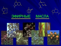 Эфирные масла