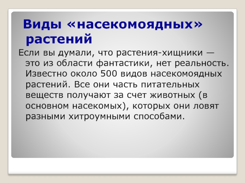 Известно около. Заключение презентации по насекомоядным.