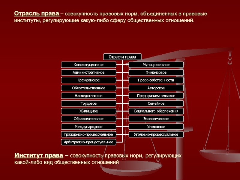 Совокупность правовых институтов. Право отрасли институты нормы. Норма права правовой институт отрасль права. Нормы отрасли права. Нормы отрасли права виды.