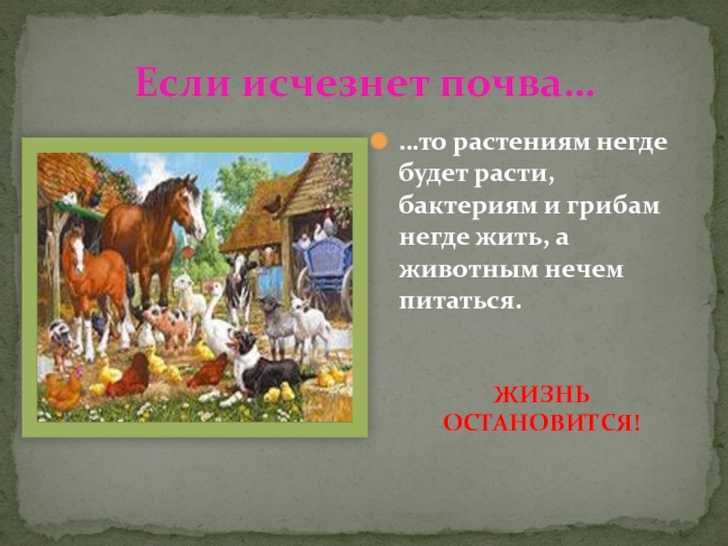 Что будет если исчезнут книги. Что произойдет если исчезнет почва. Что будет если исчезнет почва. Если с земли исчезнут растения. Что было бы если бы не было животных.