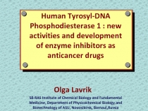Human Tyrosyl-DNA Phosphodiesterase 1 : new
activities and development of