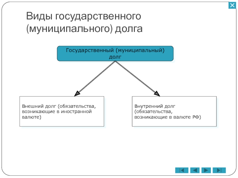 Схема виды государственного долга