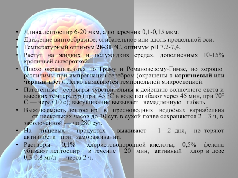 Длина характеристика. Протяженность движений. Температурный Оптимум при культивировании лептоспир. Через сколько погибают лептоспиры.