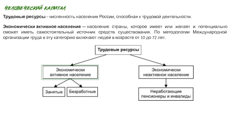 Экономически активное население занятые. Трудовые ресурсы. Трудовые ресурсы и экономически активное население. Трудовое население страны.