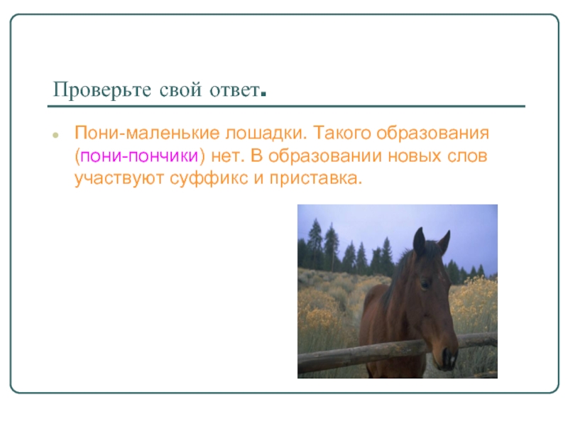 Пони образование слова. Маленький такой конь ответ. Родственные слова к слову конь. Рабочая программа доп образования пони и лошади. Суффикс в слове лошади.