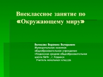 Растения лесов Красноярского края 3 класс