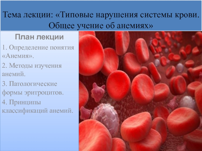 Презентация Тема лекции: Типовые нарушения системы крови. Общее учение об анемиях