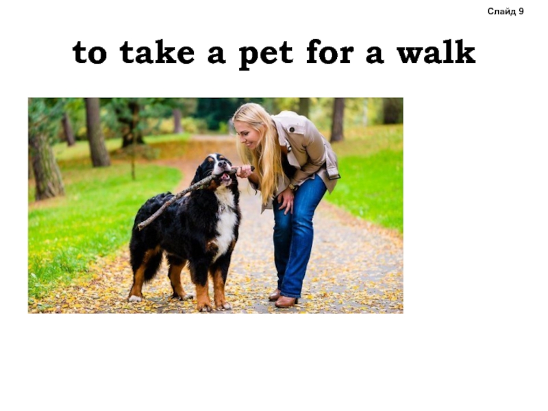 Take the Pet for a walk. Takes his Pet for a walk. Take your pet