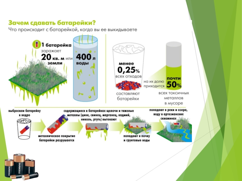 Можно сдать батарейки за деньги. Вред батареек для окружающей среды. Схема переработки батареек.