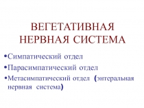ВЕГЕТАТИВНАЯ НЕРВНАЯ СИСТЕМА