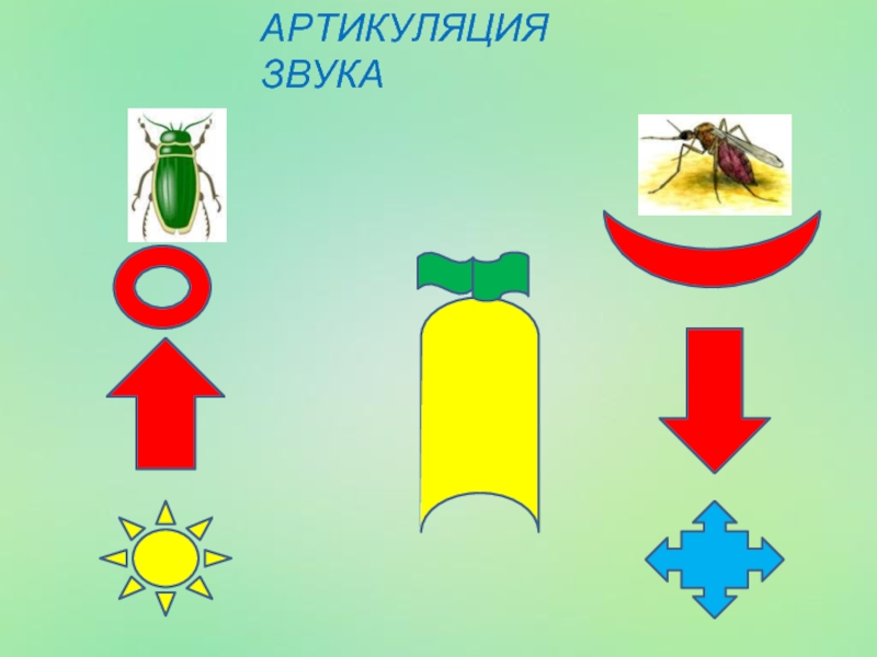 Дифференциация з ж презентация