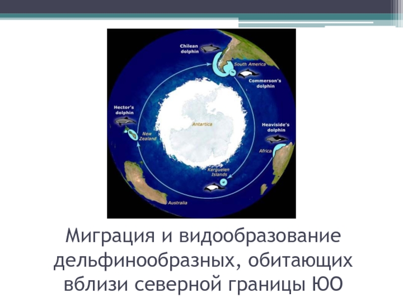 Океан граничит с сушей. Границы Южного океана. Границы Южного океана на карте. Южный океан на карте. Южный океан презентация.