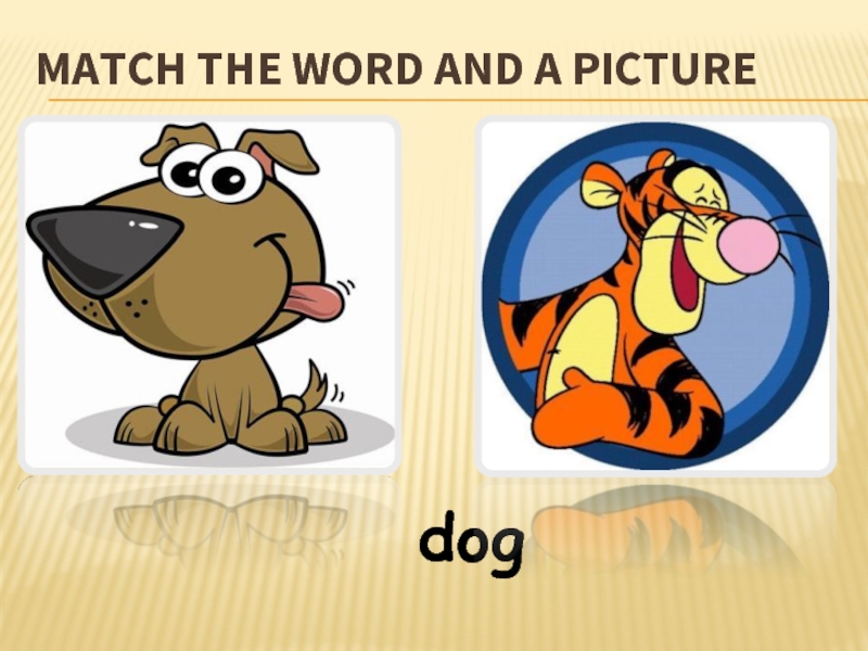 MATCH THE WORD AND A PICTUREdog
