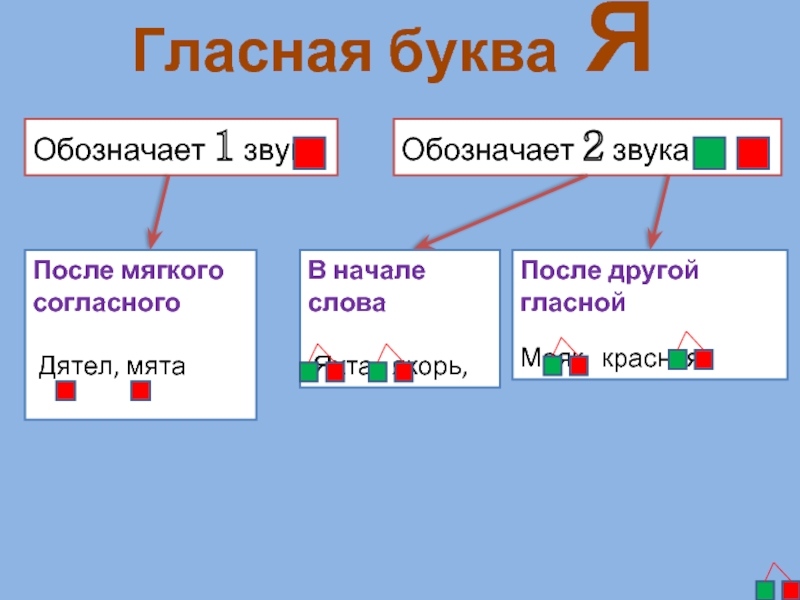 Сколько в слове яхта звуков и букв