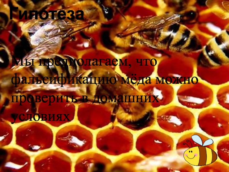 ТЕСТИРОВАНИЕ ЭКСПРЕСС-МЕТОДОВ ОПРЕДЕЛЕНИЯ ФАЛЬСИФИКАЦИИ МЕДА ГипотезаМы предполагаем, что фальсификацию мёда можно проверить в домашних условиях ГипотезаМы предполагаем, что фальсификацию мёда можно проверить в домашних условиях