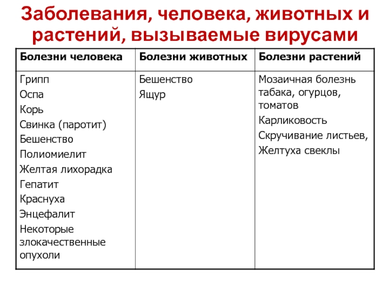 Найдите заболевание. Таблица заболевания вызываемые вирусами растения животные человек. Вирусные заболевания человека животных и растений таблица. Заболевания вызываемые вирусами у растений животных человека. Болезни растений вызываемые вирусами таблица.